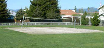 Photo of Floral Park Volleyball Court