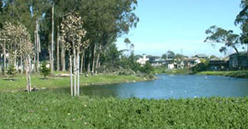 Photo of Moran Lake Park